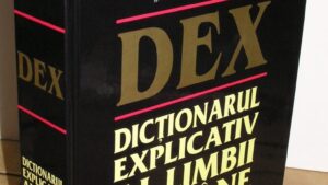 World Vision cere redefinirea termenului „femeie”