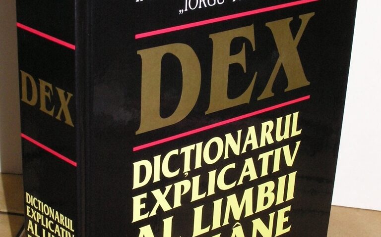 World Vision cere redefinirea termenului „femeie”