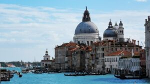 Delfin printre gondole!