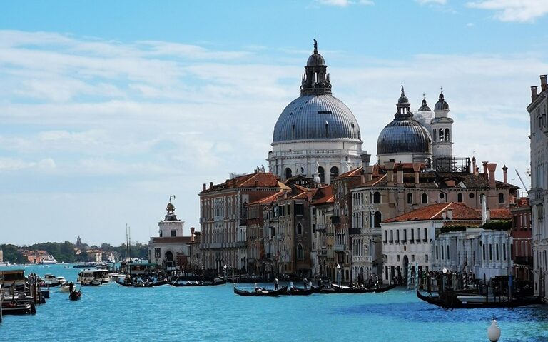 Delfin printre gondole!