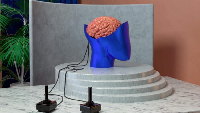 Creierul uman trece prin cinci etape distincte într-o viaţă