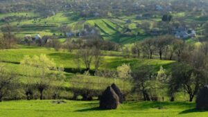 Salubritatea în mediul rural, sub semnul întrebării