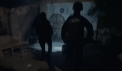 Percheziții domiciliare într-un dosar penal privind tăierile ilegale de arbori