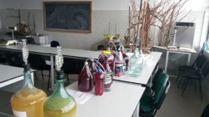 Via secretă: peste 50 de soiuri de struguri, la câţiva pași de centru | AUDIO