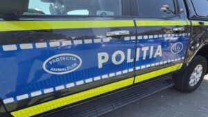 Tânăr de 17 ani, reținut după ce a torturat și ucis un câine