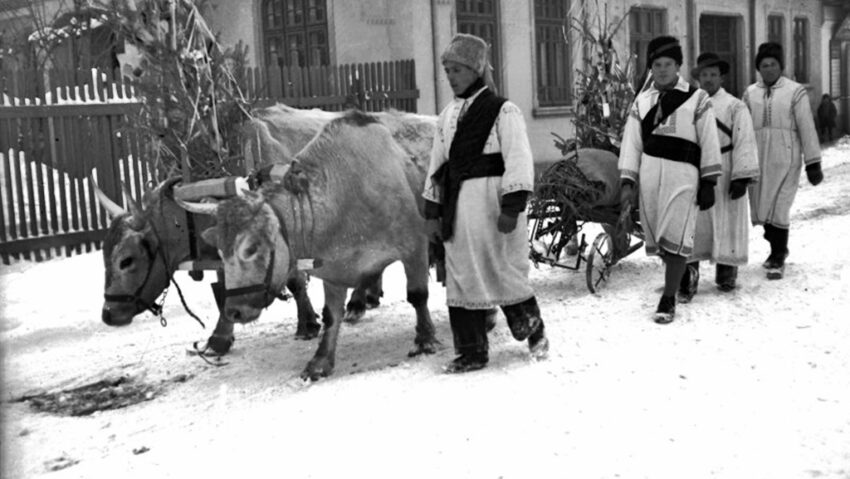 Sfântul Vasile cel Mare: tradiții pentru noroc și belșug în noul an