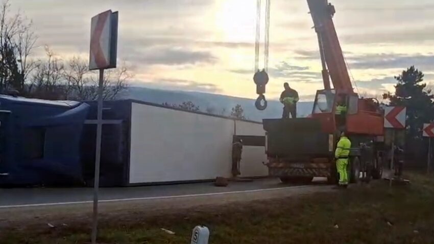 Un TIR care transporta 200 de porci vii, s-a răsturnat într-o curbă periculoasă | VIDEO