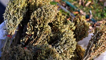 Kiraleisa-leisa: tradiţii de Bobotează pentru noroc şi putere