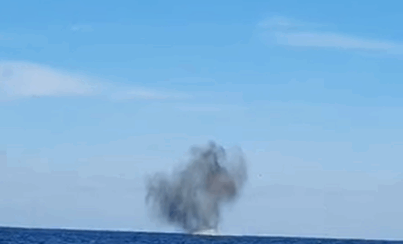 Forţele Navale au neutralizat o dronă maritimă în Marea Neagră