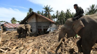 Bilanț tragic al inundațiilor din Indonezia: 1.000 de morți