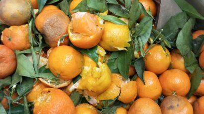 Amenzi de peste 1.000.000 de lei aplicate de Inspectorii de la Protecția Consumatorului