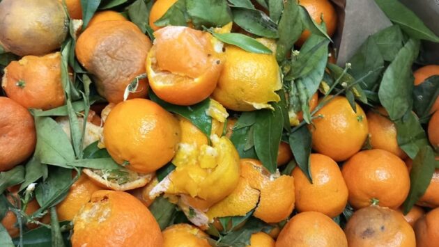 Amenzi de peste 1.000.000 de lei aplicate de Inspectorii de la Protecția Consumatorului