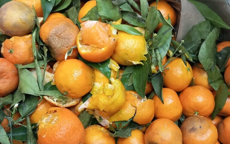 Amenzi de peste 1.000.000 de lei aplicate de Inspectorii de la Protecția Consumatorului