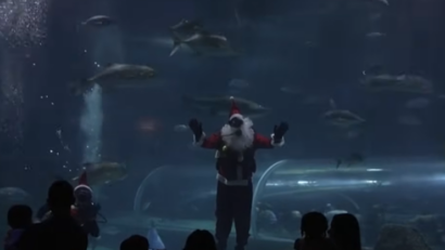 Moș Crăciun printre rechini