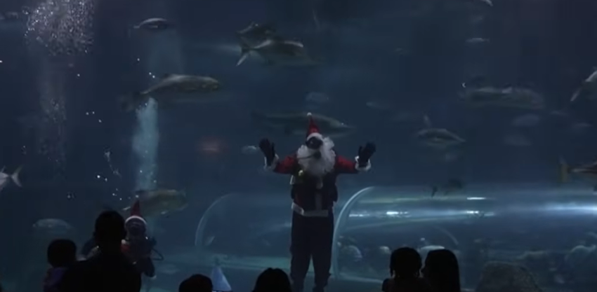 Moș Crăciun printre rechini