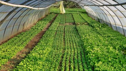 Serele și solariile nu vor fi impozitate