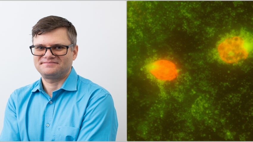 Profesor UBB, nominalizat din partea României pentru un prestigios premiu în microbiologie