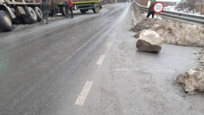 Bolovan căzut pe carosabil lângă mănăstirea Bârsana