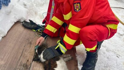 Incendiu la o gospodărie. Două persoane dar și un cățel au avut nevoie de îngrijiri medicale