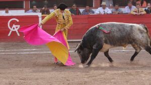 Minorii nu vor mai putea asista la coride