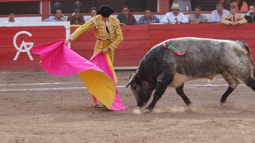 Minorii nu vor mai putea asista la coride