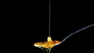 Alimente care nu expiră niciodată