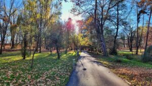 Lămuriri despre modernizarea Parcului Sub Arini