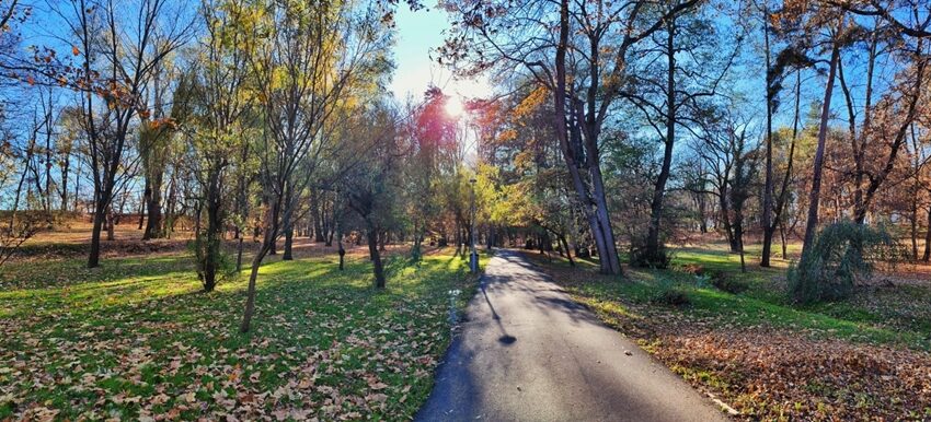 Lămuriri despre modernizarea Parcului Sub Arini