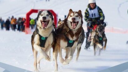 Campionatele Mondiale WSA ”Rotunda Gate 2026” au fost anulate