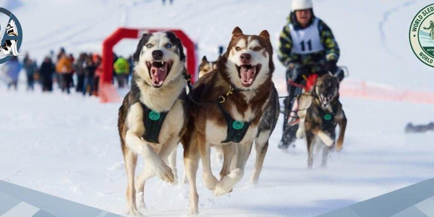 Campionatele Mondiale WSA ”Rotunda Gate 2026” au fost anulate