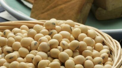 Soia – proteine vegetale și sănătate