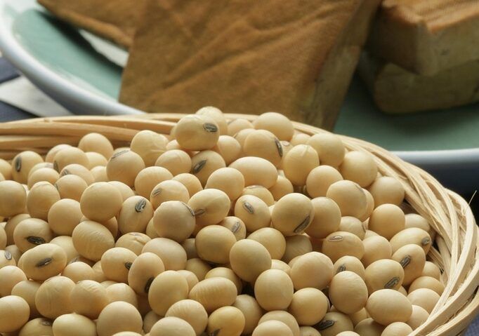 Soia – proteine vegetale și sănătate
