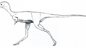 Epoca giganților, populată și de dinozauri mici