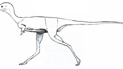 Epoca giganților, populată și de dinozauri mici