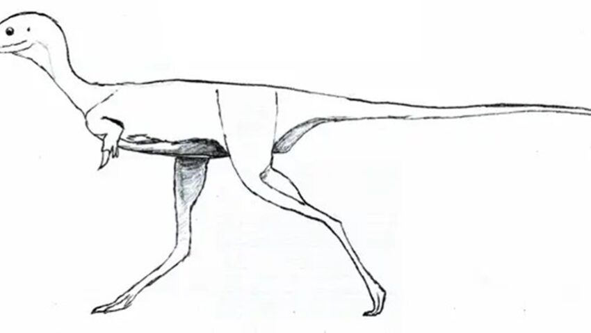 Epoca giganților, populată și de dinozauri mici