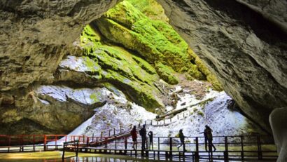 Bacterie veche de 5.000 de ani, descoperită într-un ghețar subteran