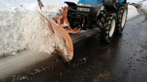 Soluție ecologică împotriva poleiului