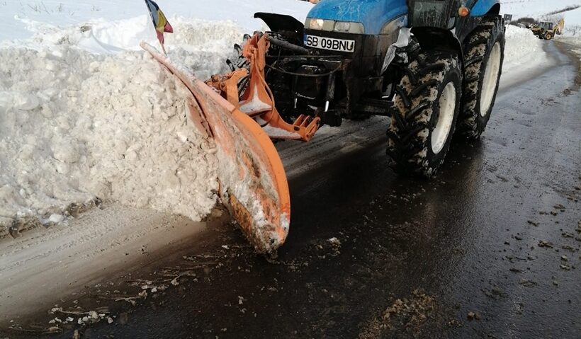 Soluție ecologică împotriva poleiului