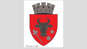 Sighetu Marmației are o nouă stemă aprobată de Consiliul Local