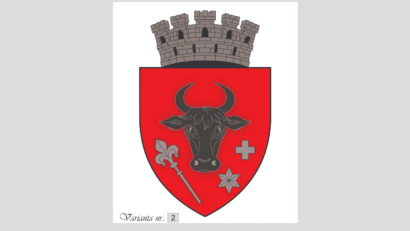 Sighetu Marmației are o nouă stemă aprobată de Consiliul Local