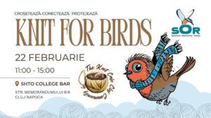 Tricotăm și croșetăm, păsările le-ajutăm