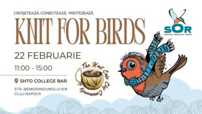 Tricotăm și croșetăm, păsările le-ajutăm