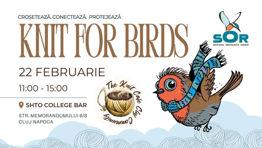 Tricotăm și croșetăm, păsările le-ajutăm