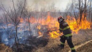 Focul a mistuit 100 de hectare de pădure în județul Sibiu