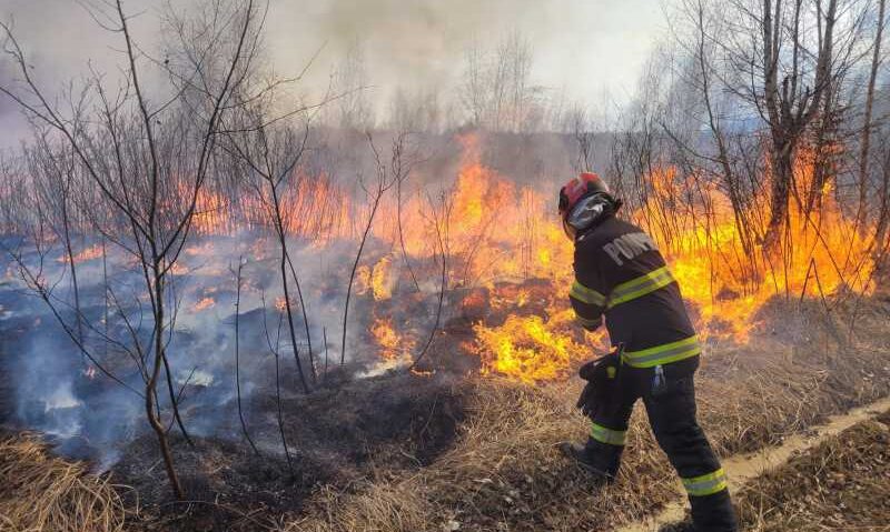 Focul a mistuit 100 de hectare de pădure în județul Sibiu