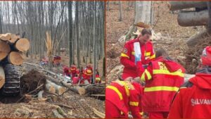 Un bărbat a murit după ce a fost lovit de un arbore