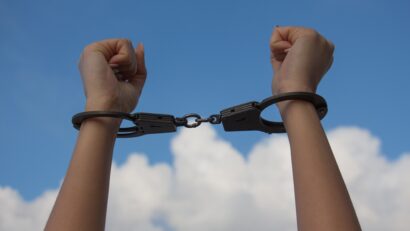 Zeci de câini înfometați și răniți, femeie arestată preventiv