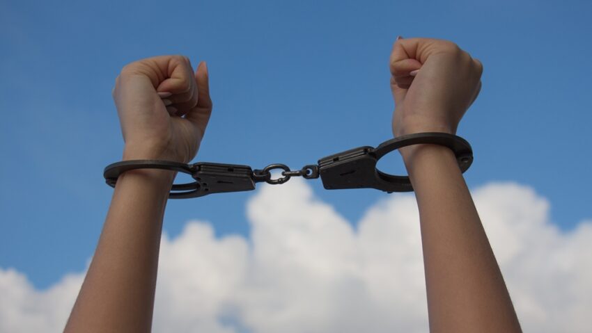 Zeci de câini înfometați și răniți, femeie arestată preventiv