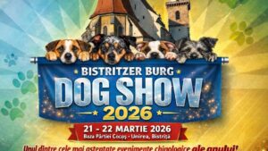 Concurs de tradiție pentru iubitorii de câini