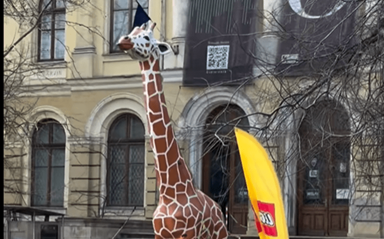 Girafa celebră primește un companion de 115 kg din 80.000 de piese